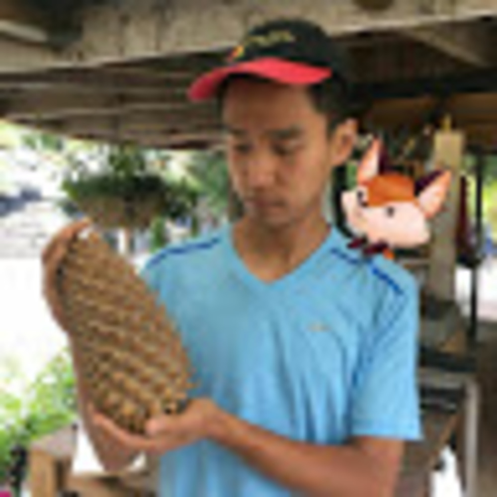 Meet your Posher, Yubo